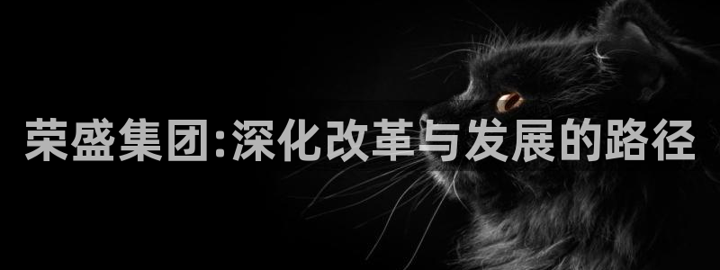 天狮娱乐39096股东：荣盛集团:深化改革与发展的路径