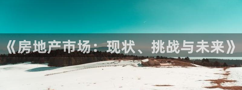 天狮娱乐主管82104：《房地产市场：现状、挑战与未来》