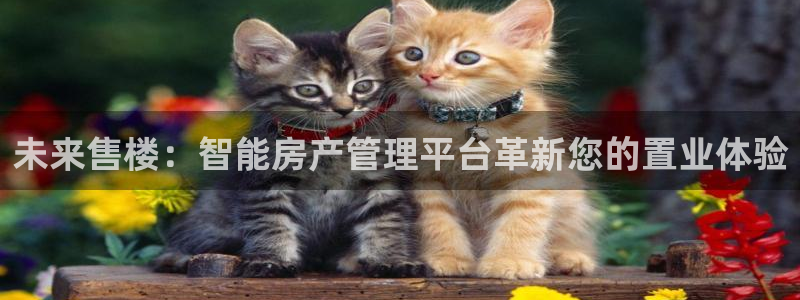天狮娱乐挂机：未来售楼：智能房产管理平台革新您的置业体验