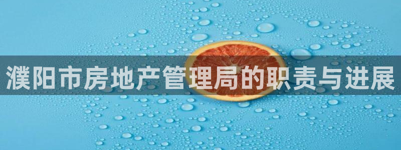 天狮娱乐ios下载：濮阳市房地产管理局的职责与进展
