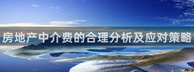 天狮娱乐行：房地产中介费的合理分析及应对策略