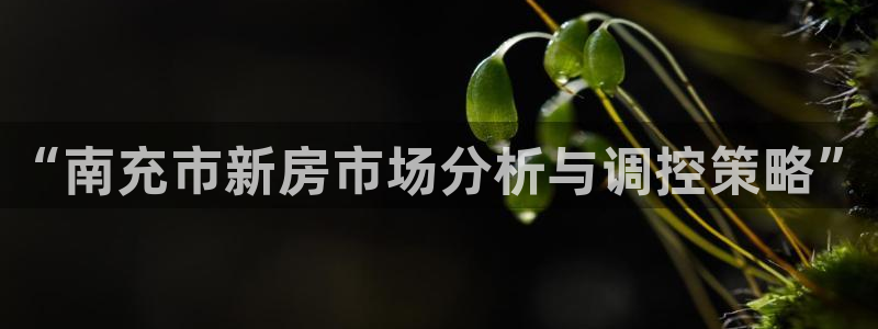 天狮娱乐平台代理：“南充市新房市场分析与调控策略”