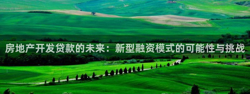 天狮娱乐招商扣：房地产开发贷款的未来：新型融资模式的可能性与