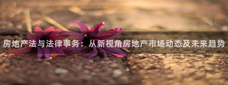 天狮娱乐运营29229：房地产法与法律事务：从新视角房地产市