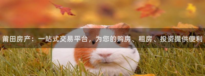 天狮娱乐是私人平台吗：莆田房产：一站式交易平台，为您的购房、