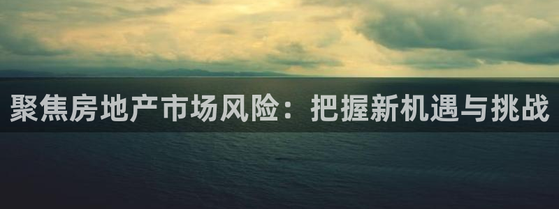 天狮娱乐工资：聚焦房地产市场风险：把握新机遇与挑战