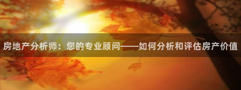 天狮娱乐招商主管：房地产分析师：您的专业顾问——如何分析和评