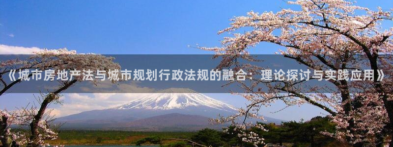 天狮娱乐负责：《城市房地产法与城市规划行政法规的融合：理论探