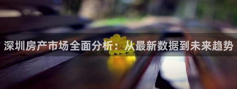 天狮娱乐 138注册：深圳房产市场全面分析：从最新数据到未来
