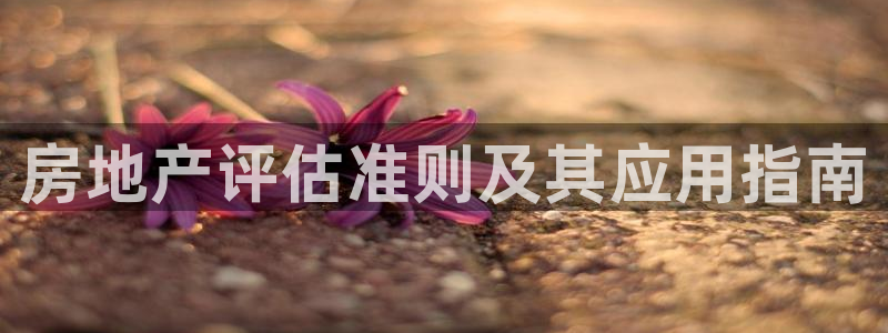 天狮娱乐客服电话：房地产评估准则及其应用指南