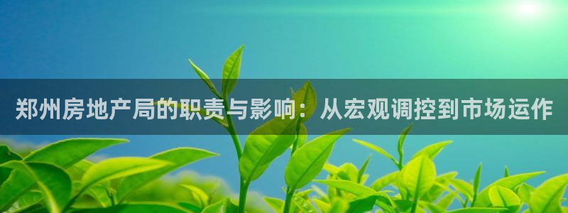 天狮娱乐谁在玩：郑州房地产局的职责与影响：从宏观调控到市场运