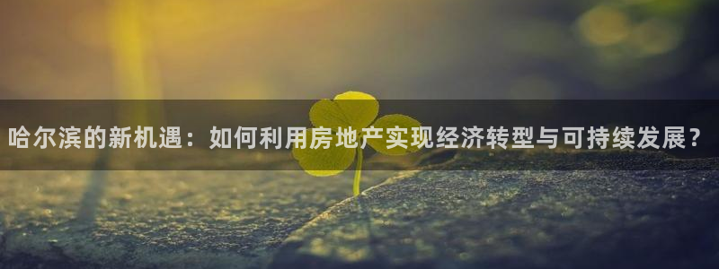 天狮娱乐年：哈尔滨的新机遇：如何利用房地产实现经济转型与可持