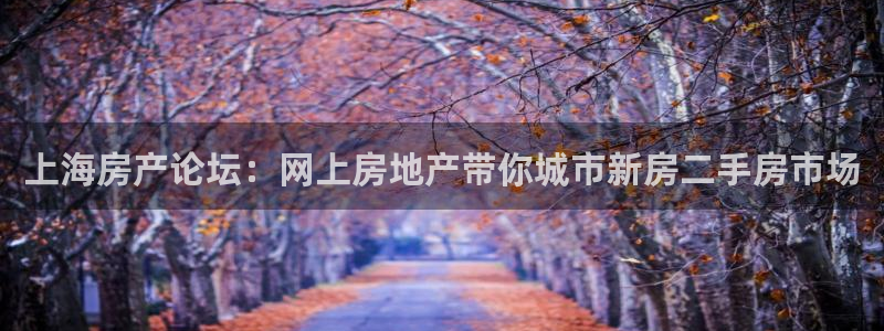 天狮娱乐卧j主管60447：上海房产论坛：网上房地产带你城市