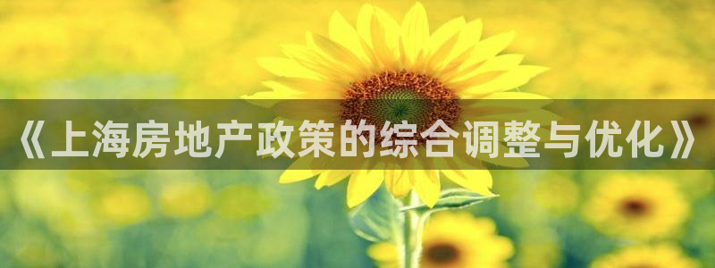 天狮娱乐815422：《上海房地产政策的综合调整与优化》