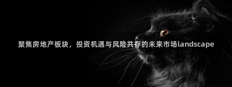 天狮娱乐主管待遇：聚焦房地产板块，投资机遇与风险共存的未来市