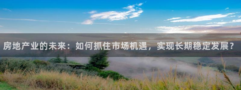 天狮娱乐挂机：房地产业的未来：如何抓住市场机遇，实现长期稳定