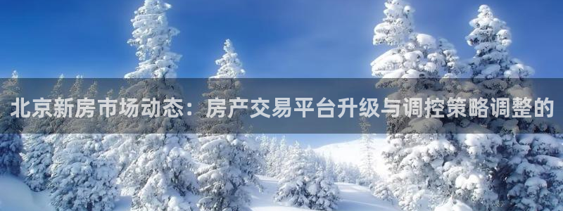 天狮娱乐总部在哪里：北京新房市场动态：房产交易平台升级与调控