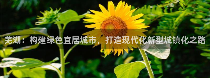天狮娱乐是不是赌博：芜湖：构建绿色宜居城市，打造现代化新型城