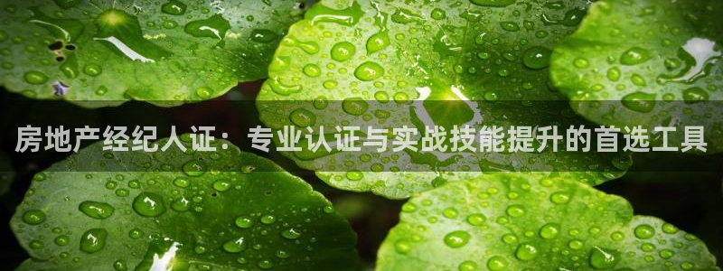 天狮娱乐主管汽车之家：房地产经纪人证：专业认证与实战技能提升