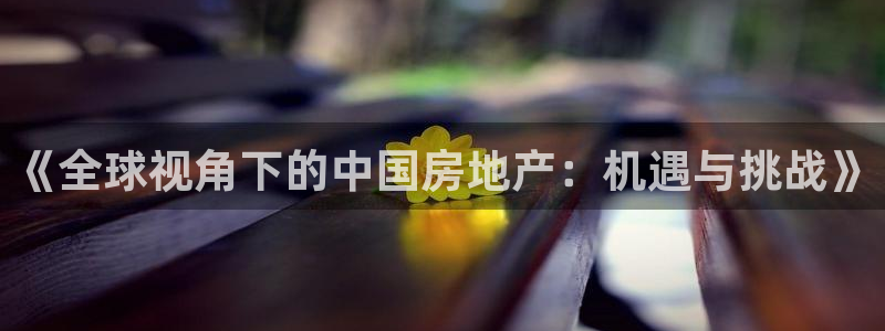天狮娱乐主管q42862s：《全球视角下的中国房地产：机遇与