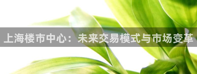 天狮娱乐主招商：上海楼市中心：未来交易模式与市场变革