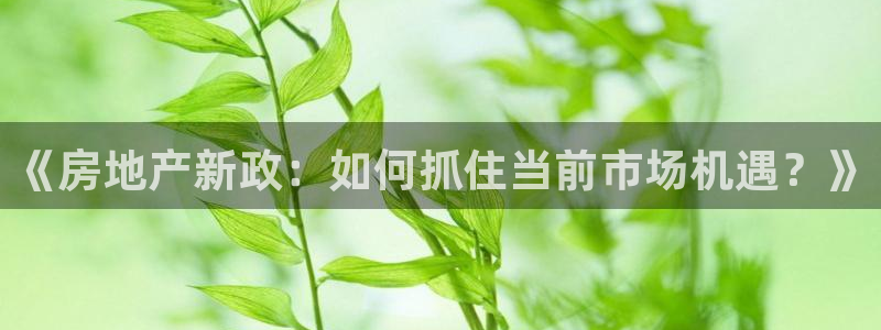 天狮娱乐注册登陆：《房地产新政：如何抓住当前市场机遇？》