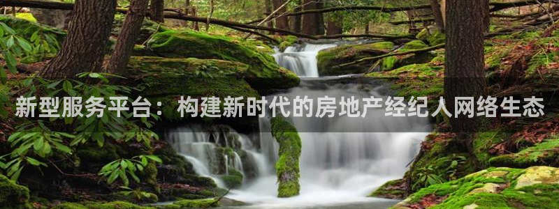 天狮娱乐指尖年：新型服务平台：构建新时代的房地产经纪人网络生