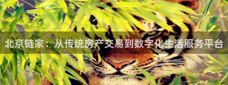 天狮娱乐如：北京链家：从传统房产交易到数字化生活服务平台