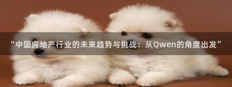 天狮娱乐会所：“中国房地产行业的未来趋势与挑战：从Qwen的